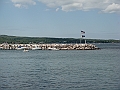 Western Michigan [2010] 508